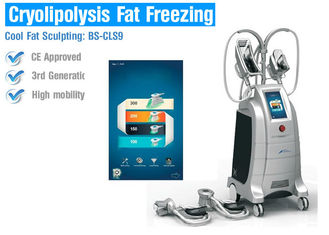 Cryo die Cryolipolysis-de Machine van het Lichaamsvermageringsdieet, het Materiaal van de Gewichtsvermindering bevriezen